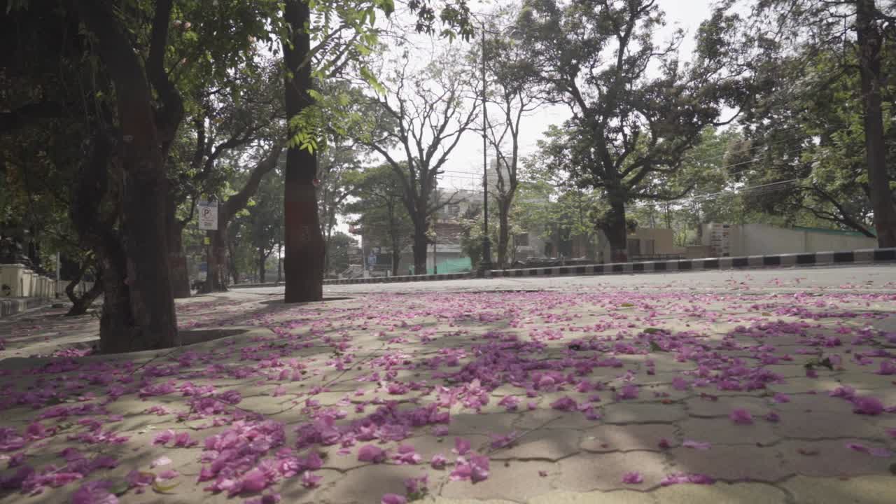 World disaster. Coronavirus Lockdown in India.