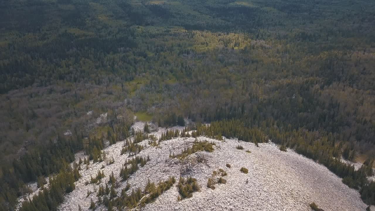 vista aérea del paisaje forestal montañoso