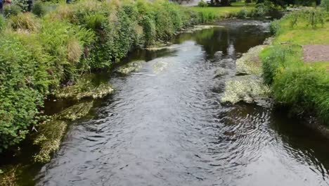 water flowing through creek in public park with weeds wide shot