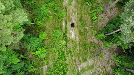 Person-In-Schwarzer-Robe-Hält-Sense-In-Der-Wildnis