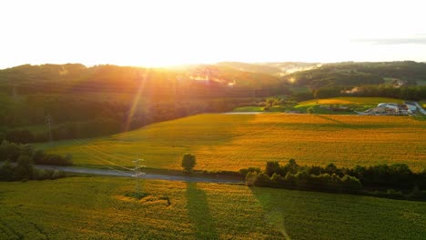 Atemberaubende-4K-Drohnenaufnahmen-Eines-Wunderschönen-Sonnenuntergangs-über-Einem-Großen-Goldenen-Sonnenblumenfeld-Auf-Dem-Land