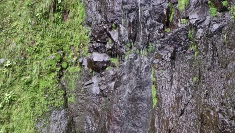 Inclínese-Hacia-Abajo-Mientras-El-Agua-Se-Filtra-Por-Un-Acantilado-De-Roca-Húmeda-Y-Cubierta-De-Musgo.