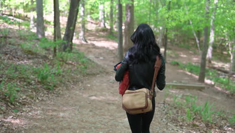 attractive young photographer woman walking down a trail in the woods, taking photos and enjoying life - gimbal medium shot following person from behind