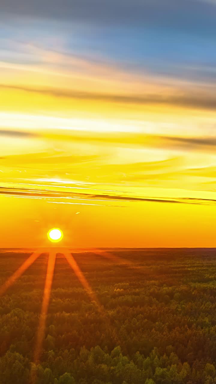 A stunning time-lapse captures the vibrant sun setting on the horizon, casting long, dramatic golden rays of light over an endless forest canopy in the beautiful Latvian countryside.