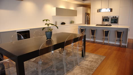 modern kitchen with dining table, transparent chairs, and potted plant on rug, at home