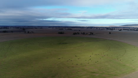 Antena-De-Un-Gran-Círculo-De-Riego-En-Tierras-Agrícolas-En-El-Interior-De-Australia