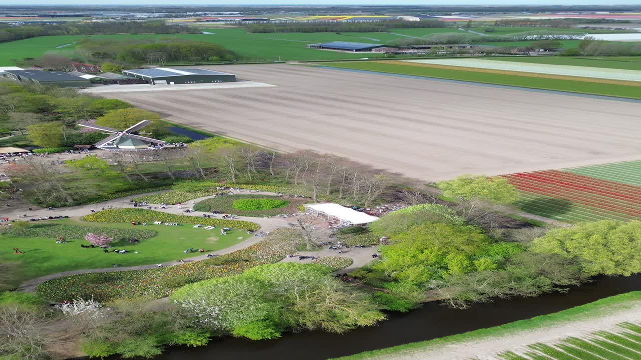 Tilfredsstillende vertikal droneoptagelse over levende tulipanmarker i Lisse, Holland, med farverige blomsterrækker i et geometrisk mønster til sociale medier og rejseindhold