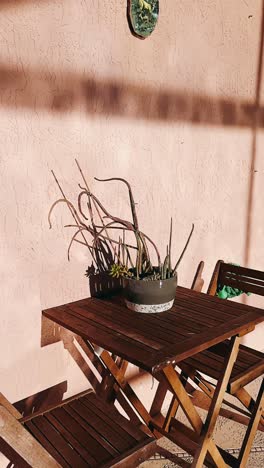 patio acogedor con suculentas