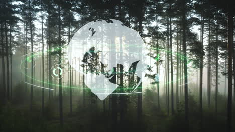 concepto de sostenibilidad, globo con íconos ecológicos con fondo de bosque nebuloso