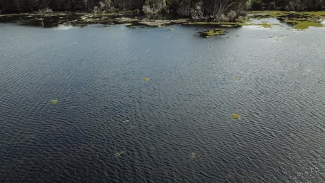 Antena-De-Drones-Sobre-El-Lago-Y-La-Reserva-Natural-Caen-Al-Agua