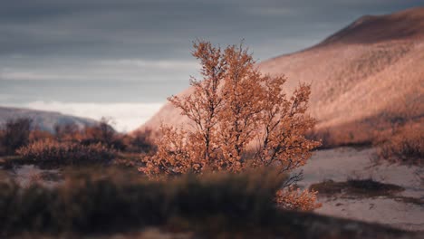 Dunas-De-Arena-En-El-Paisaje-Del-Norte