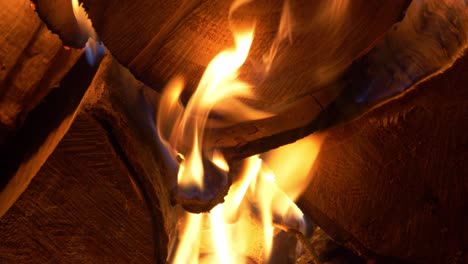 fire burning firewood in the night -close up