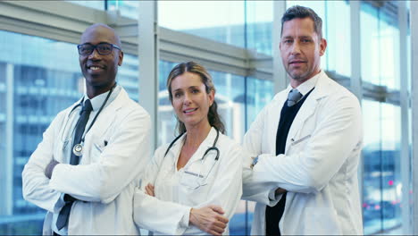 el equipo de especialistas