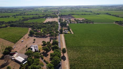 A-drone-view-of-cars-driving-a-long-straight-road-through-the-Mclarenvale-in-South-Australia