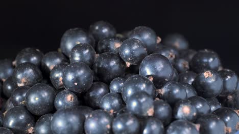 rotate of fresh blackcurrant on black background. close up. camera rotation 360 degrees. black currant or blackcurrant (ríbes nígrum)