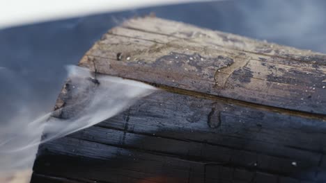 firewood burning with flames and smokes in closeup