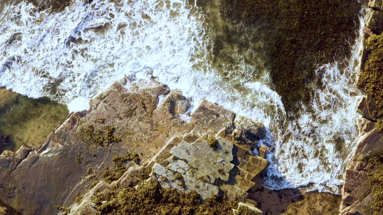 Waves rolling from right corner of frame onto horizontal bedded Permian sedimentary ocean rocks and brown seaweed POV drone pulling away Turimetta Beach Sydney Australia