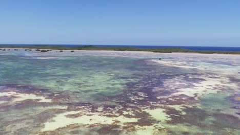 Vista-Aérea-Arrecife-De-Coral-Cristalino-Mar-Caribe,-Inclinar-Hacia-Arriba-El-Archipiélago-De-Los-Roques