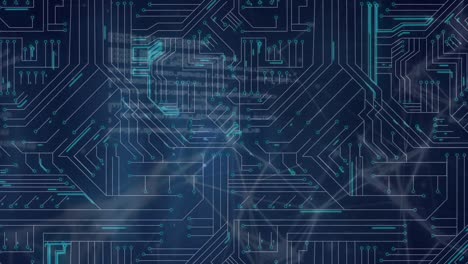 animación de la red de conexiones a través del procesamiento de datos