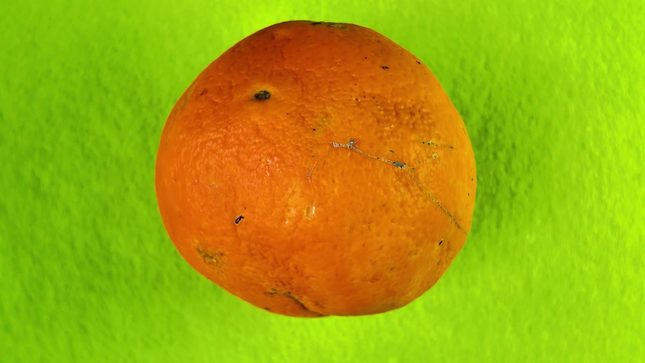 Bright orange fruit spinning against a vivid green textured background. rotating shot