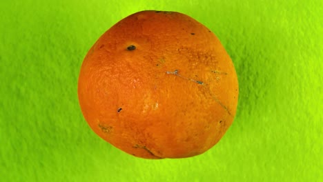 bright orange fruit spinning against a vivid green textured background. rotating shot
