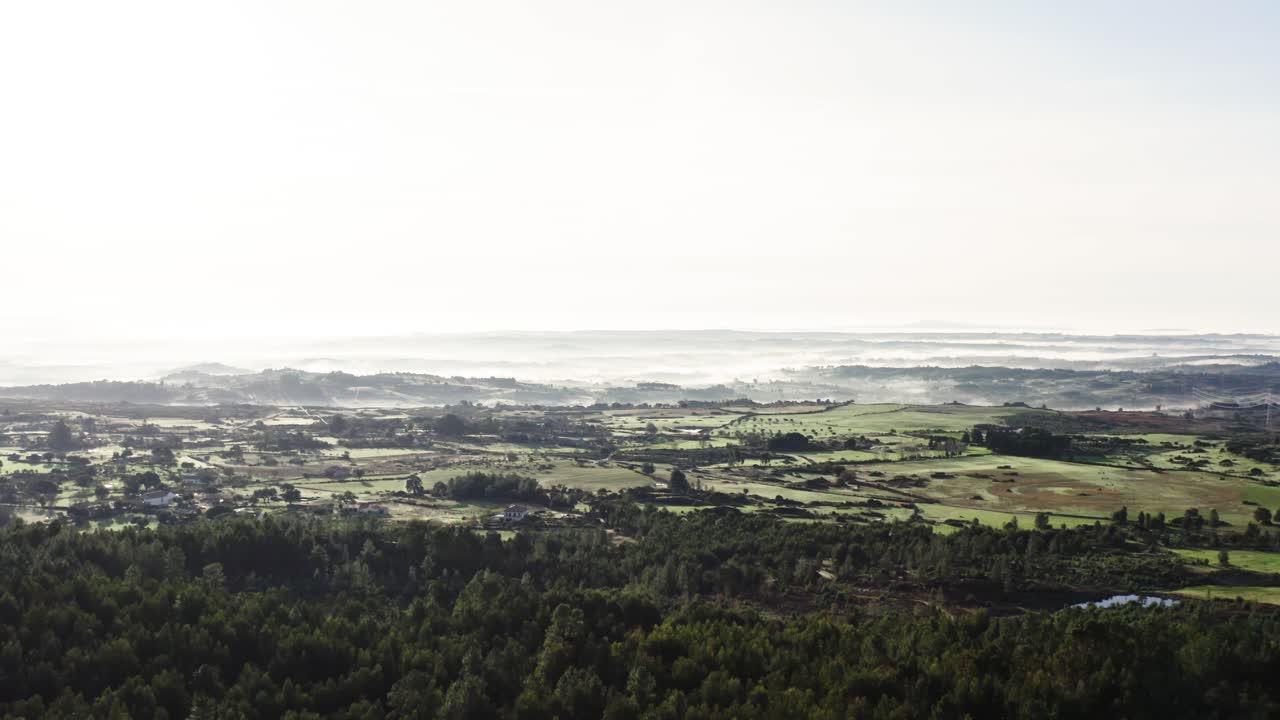 숲,  ⁇ , 나무 가 있는  ⁇  한 언덕 풍경 의 드론  ⁇
