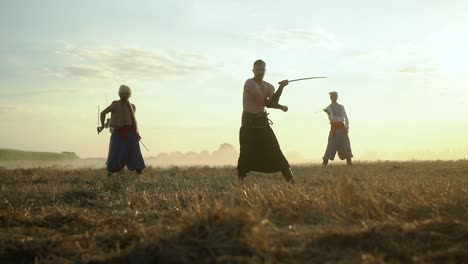 cossacks practicing with sabres in field 01