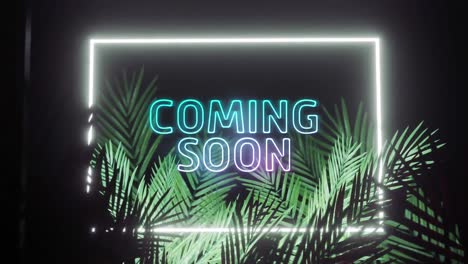 Animation-of-coming-soon-text-and-rectangle-frame-in-white-neon,-over-palm-leaves-on-black