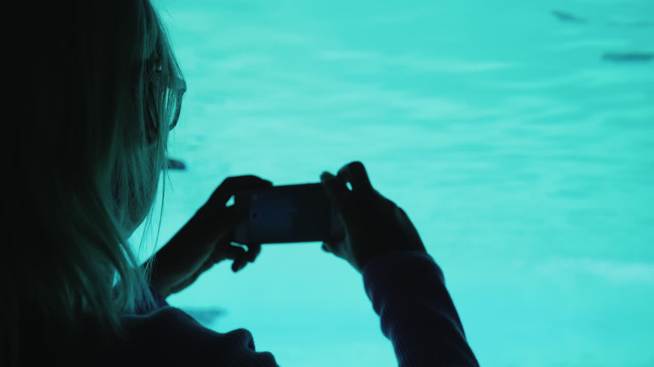 수족관에서 여자 영화 펭귄