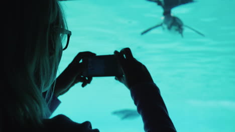 mujer filma pingüinos en un acuario