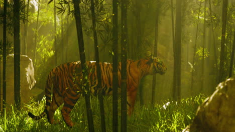 tiger in a bamboo forest