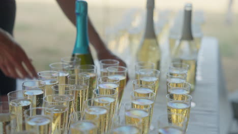 joven dama de catering durante el servicio de champán