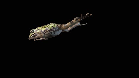 A-frog-jumping-on-black-background,-3D-animation,-animated-animals,-seamless-loop-animation