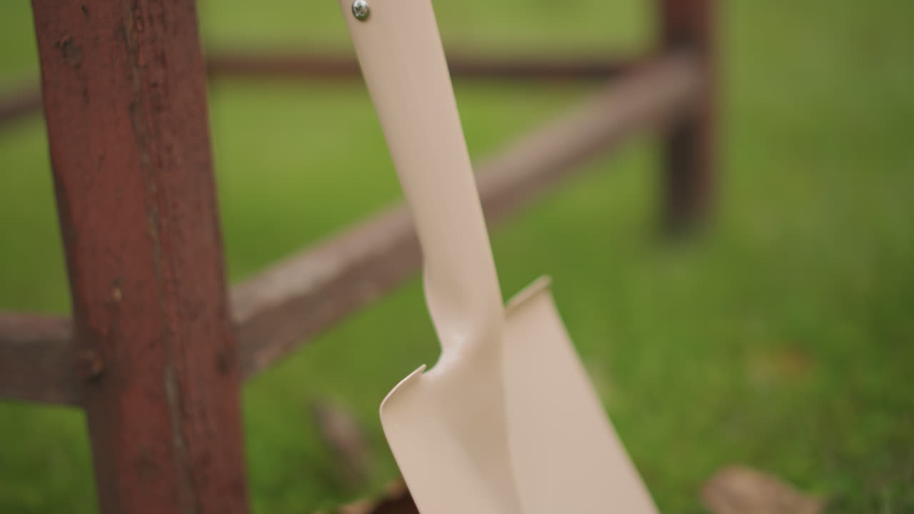 White shovel in grass near fence, quiet backyard scene showing white shovel blade leaning against rusted fence, soft bokeh background, morning light, gardener preparing soil for planting, vintage
