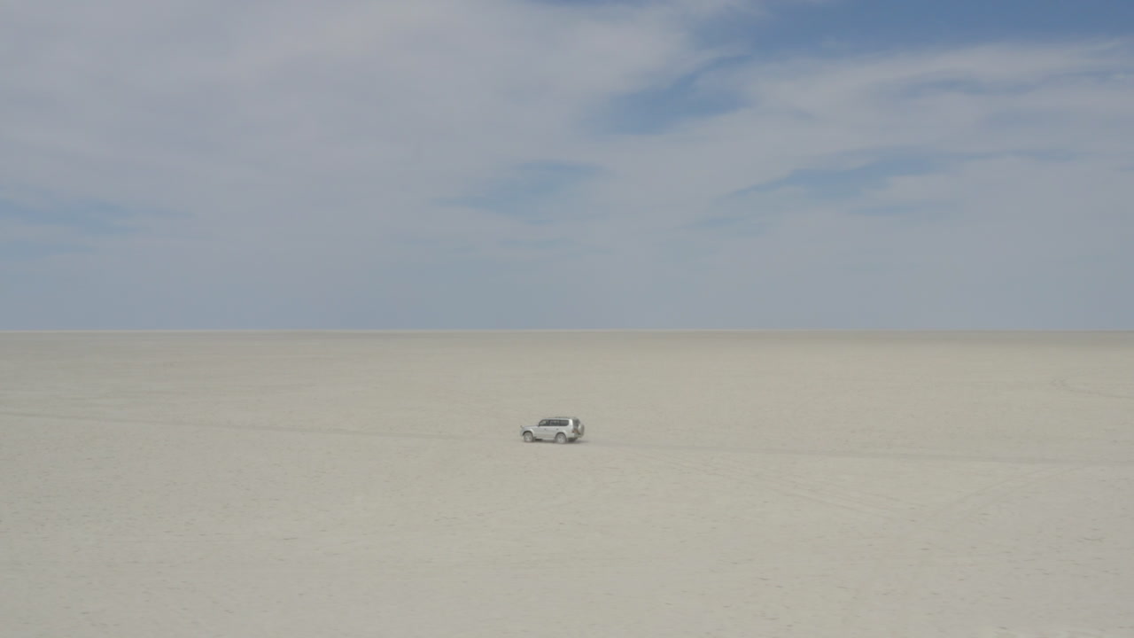 보츠와나 막가딕가디 팬 지역의 건조한 쿠부 섬에서 운전하는 suv