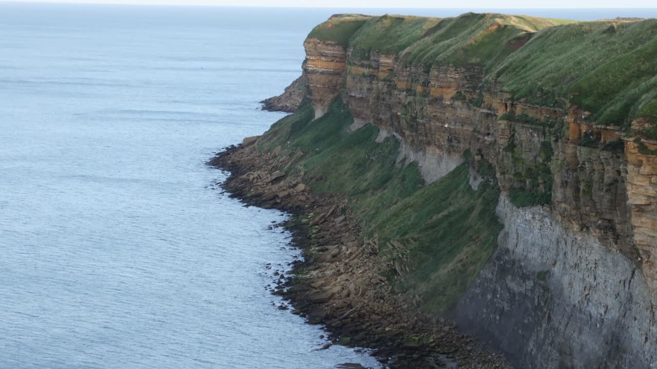 Static shot of birds flying back and forth to a eroded cliff in Yorkshire
