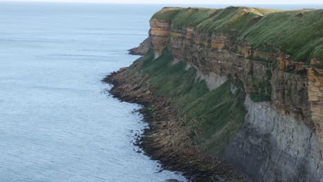 Statische-Aufnahme-Von-Vögeln,-Die-Hin-Und-Her-Zu-Einer-Erodierten-Klippe-In-Yorkshire-Fliegen