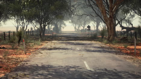 lonely road through the australian outback