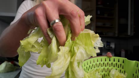 Transferring-Washed-Iceberg-Lettuce-Leaves-From-Plastic-Colander-To-Wooden-Board-In-The-Kitchen