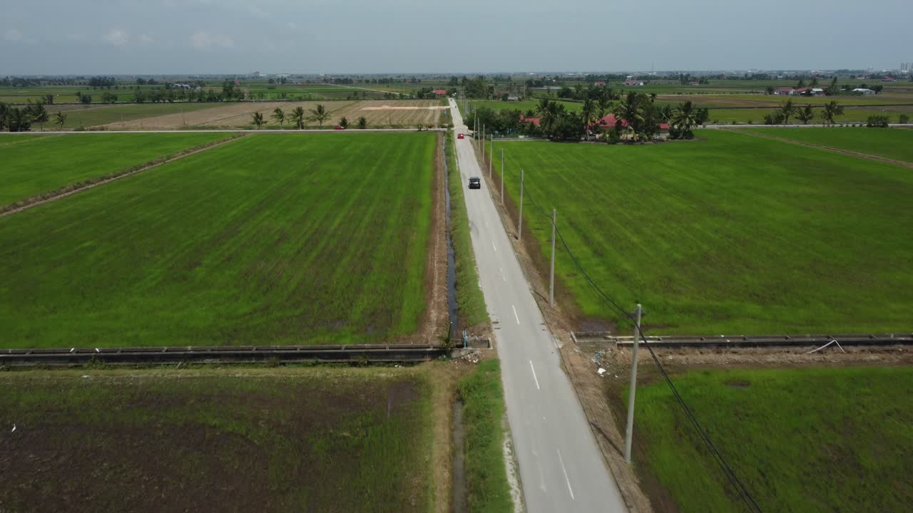 푸른  ⁇   ⁇  으로 둘러싸인 차량 의 공중 추적  ⁇
