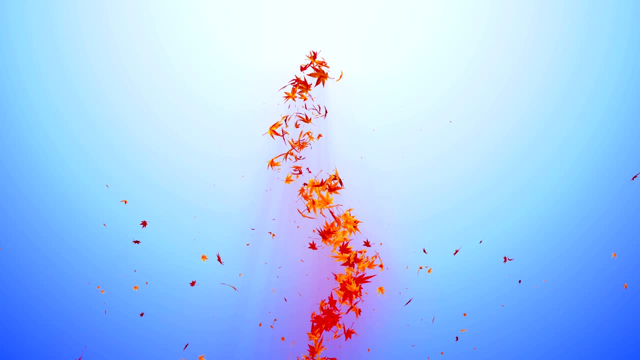 vórtice de colorido arce y hojas. espiral partícula brillante de hojas de otoño. hoja de baile. colorida naturaleza túnel bucle de animación.