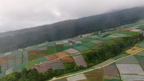 Raining-over-farmland-plantations-in-Indonesia,-aerial-tilted-view
