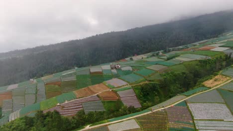 raining over farmland plantations in indonesia, aerial tilted view