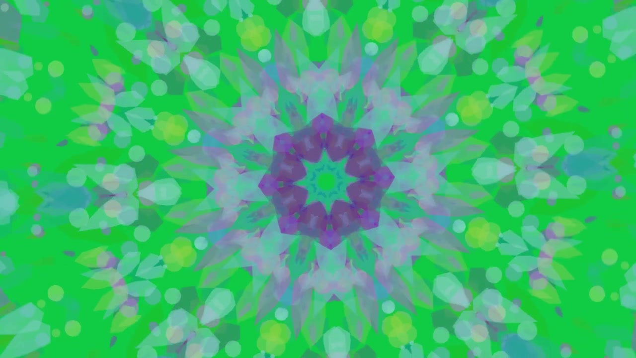 Cornici che iniziano, mandala che si trasforma, petali che ruotano, mostrando simmetria radiale su tela trasparente