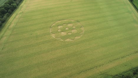 círculos y espirales haciendo un círculo de cultivo falso en el prado - toma aérea