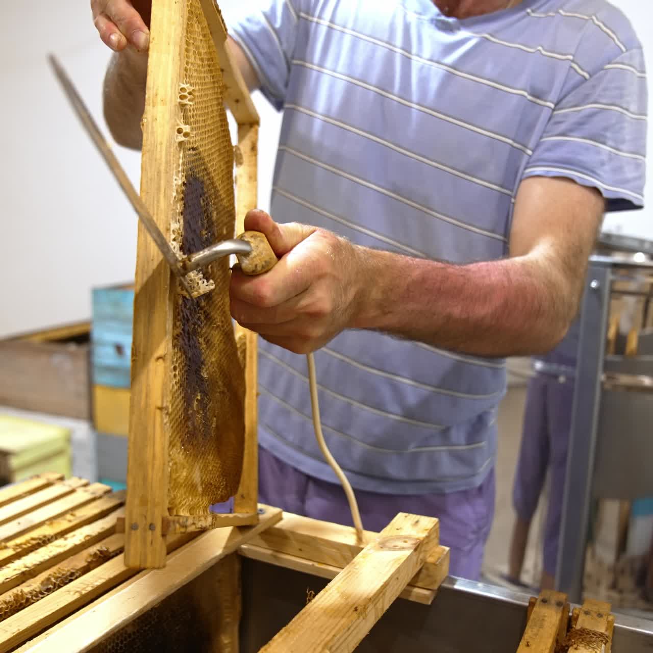 Beekeeper prepares frames for honey removal. Apiarist uses special electric knife to open cells in honeycombs