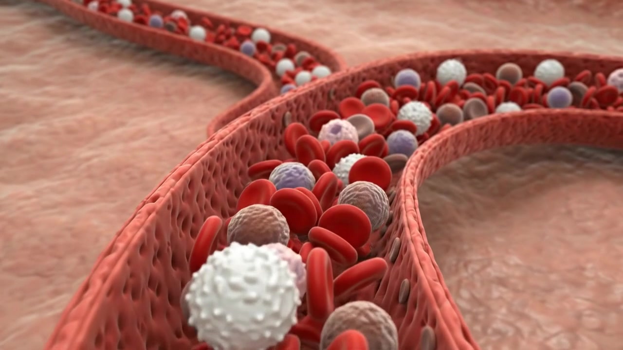 Visualizzazione di anatomia medico-scientifica e ricerca biologica