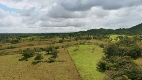 águilas volando sobre el cerro el mamey en el campo de altagracia, república dominicana