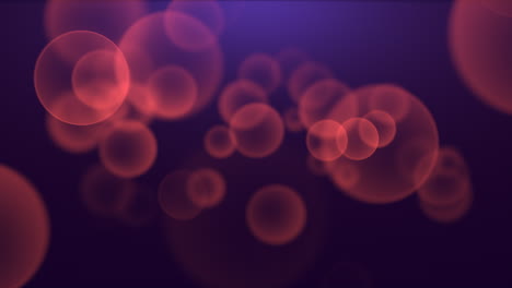 partículas de movimiento y mosca naranja y bokeh redondo sobre fondo azul oscuro