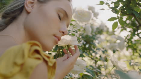 beautiful woman smelling roses in blossoming rose garden enjoying natural scent